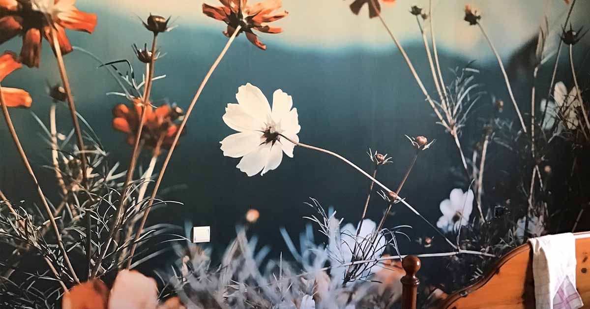 Behangpapier met bloemenvelden