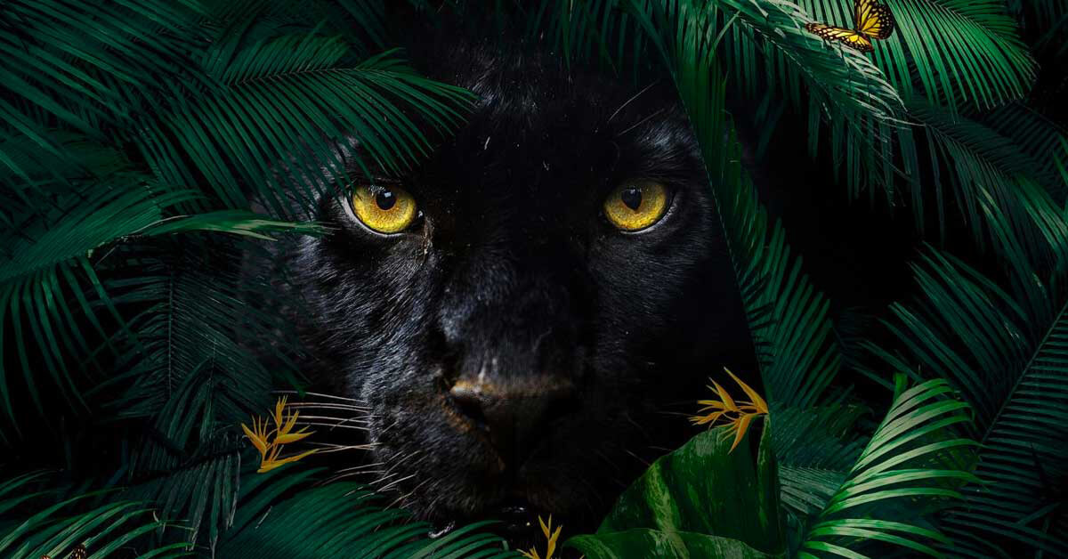 Botanic animals fotobehang