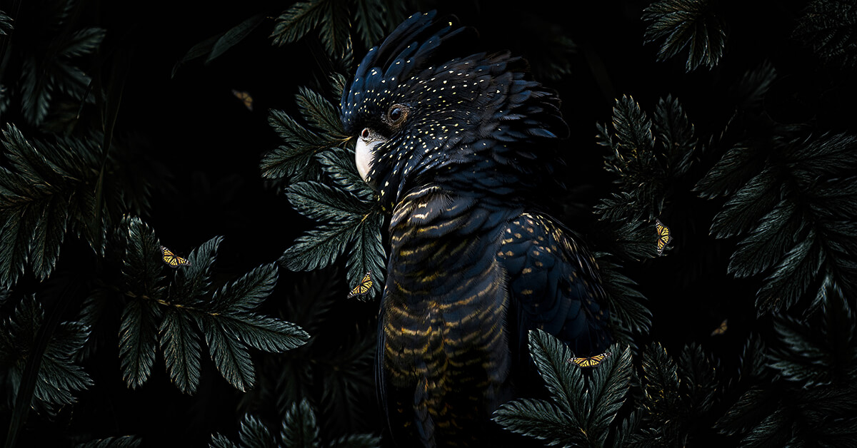 Botanical animals portret fotobehang