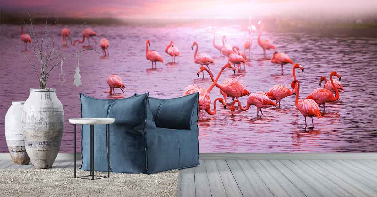 Flamingo's op fotobehang
