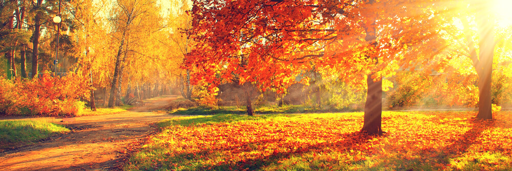 Herfst landschap op fotobehang