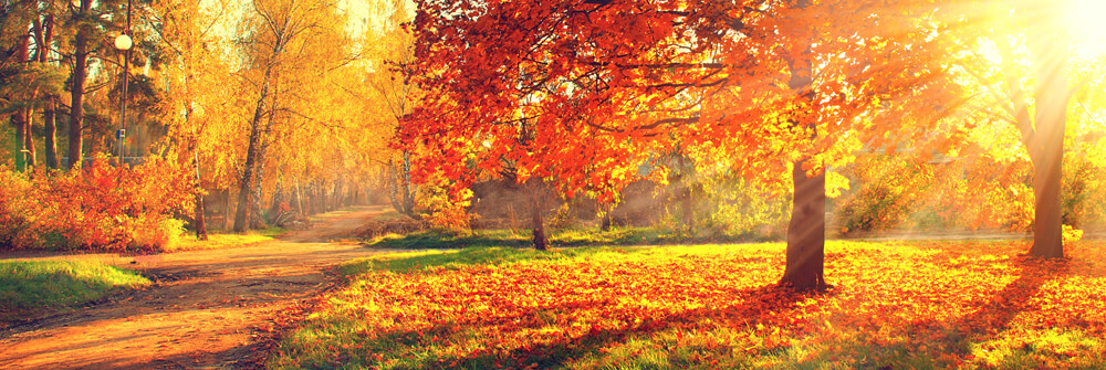 Herfst landschap op fotobehang Herfst landschap op fotobehang