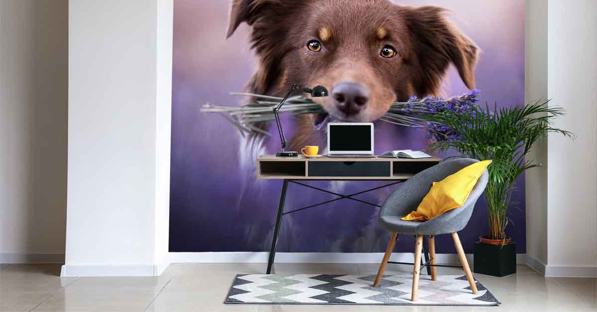 Fotobehang met Honden