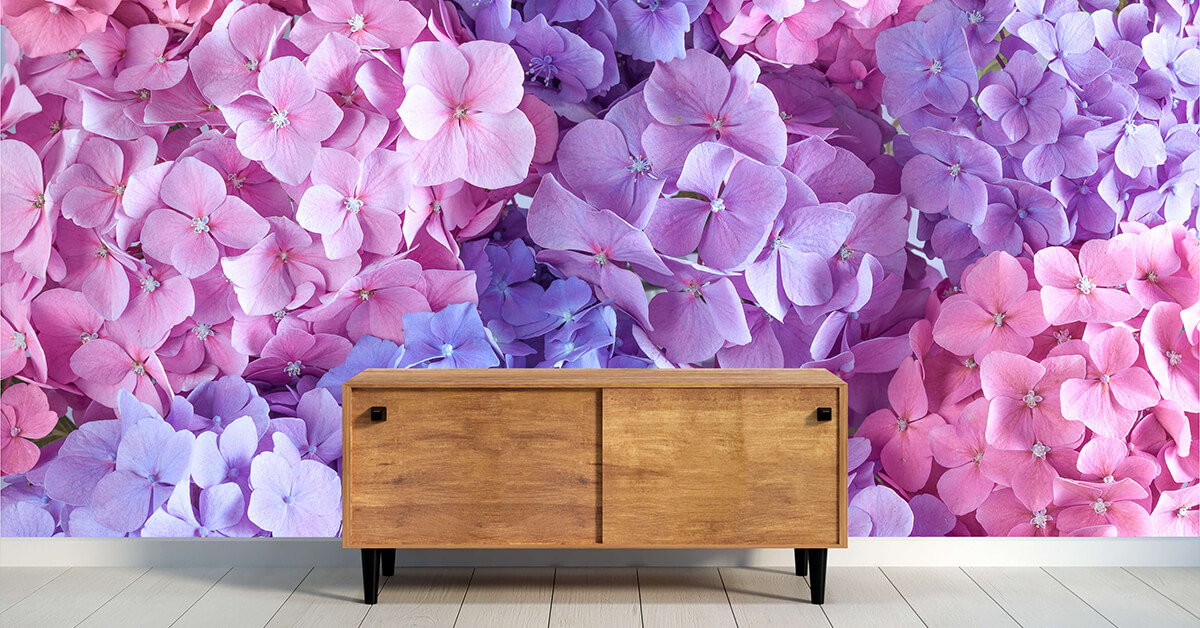 Fotobehang met Hortensia's