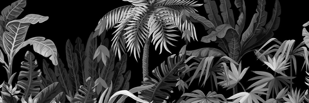 Jungle Fotobehang Zwart-Wit Jungle Fotobehang Zwart-Wit