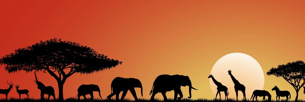Kinderbehang met dieren Kinderbehang met dieren