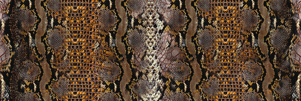 Snakes wallpaper