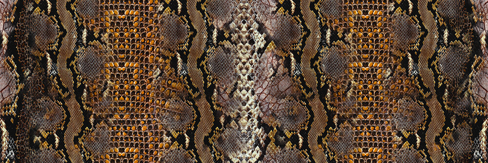 Snakes wallpaper Snakes wallpaper