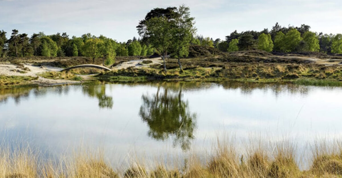 Wallexclusive Premium Landscapes