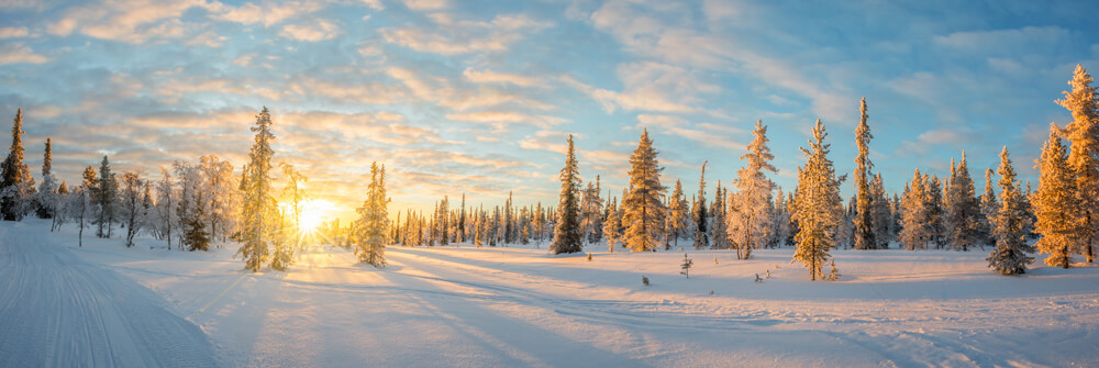 Winters landschap op fotobehang Winters landschap op fotobehang