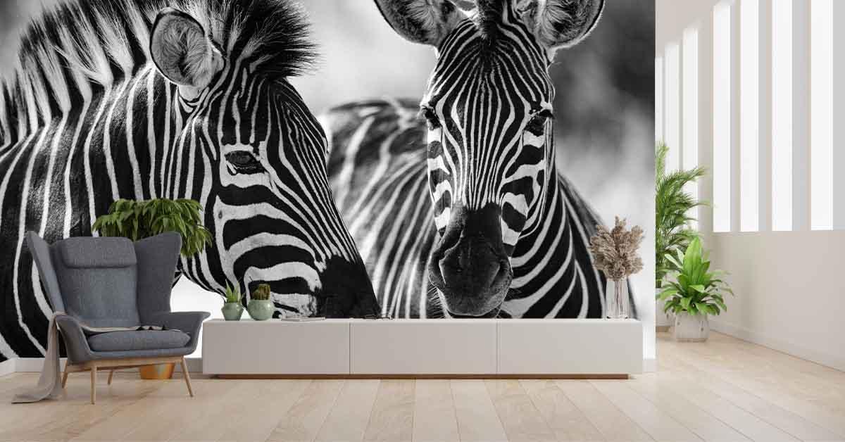 Zebra's op fotobehang