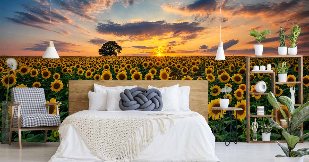 Fotobehang met Zonnebloemen