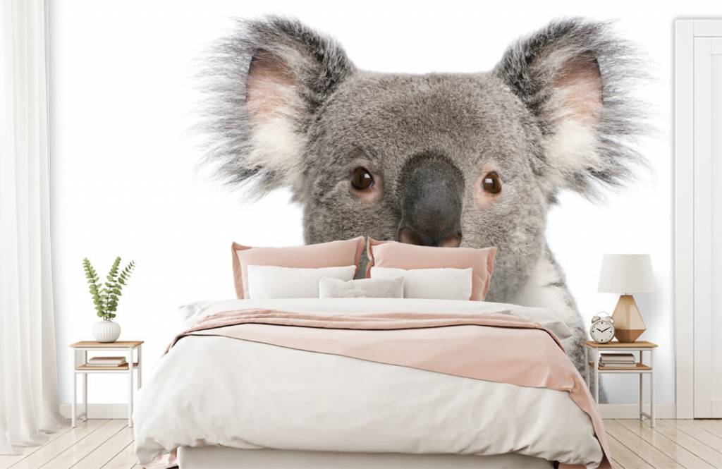 Overige - Foto van een koala - Kinderkamer 2