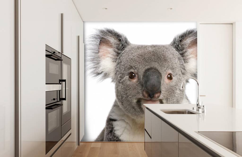 Overige - Foto van een koala - Kinderkamer 3