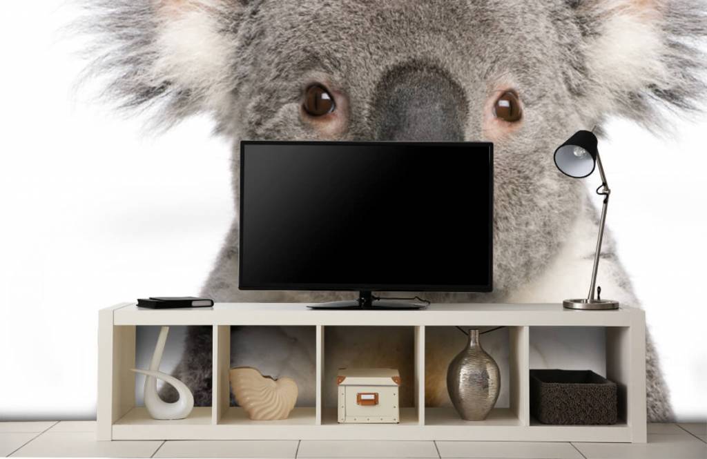 Overige - Foto van een koala - Kinderkamer 4