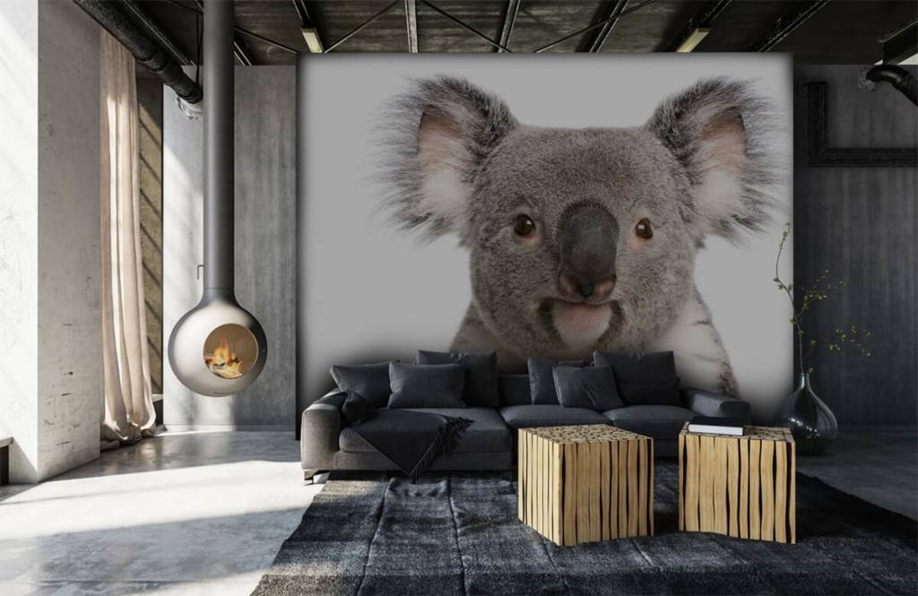 Overige - Foto van een koala - Kinderkamer 6