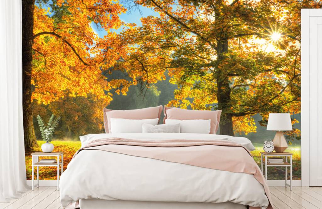 Bos behang - Boom in herfstkleuren - Slaapkamer 4