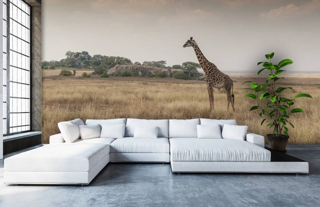 Dieren - Giraffe op een savanne - Slaapkamer 1