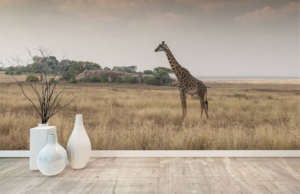 Dieren - Giraffe op een savanne - Slaapkamer 4