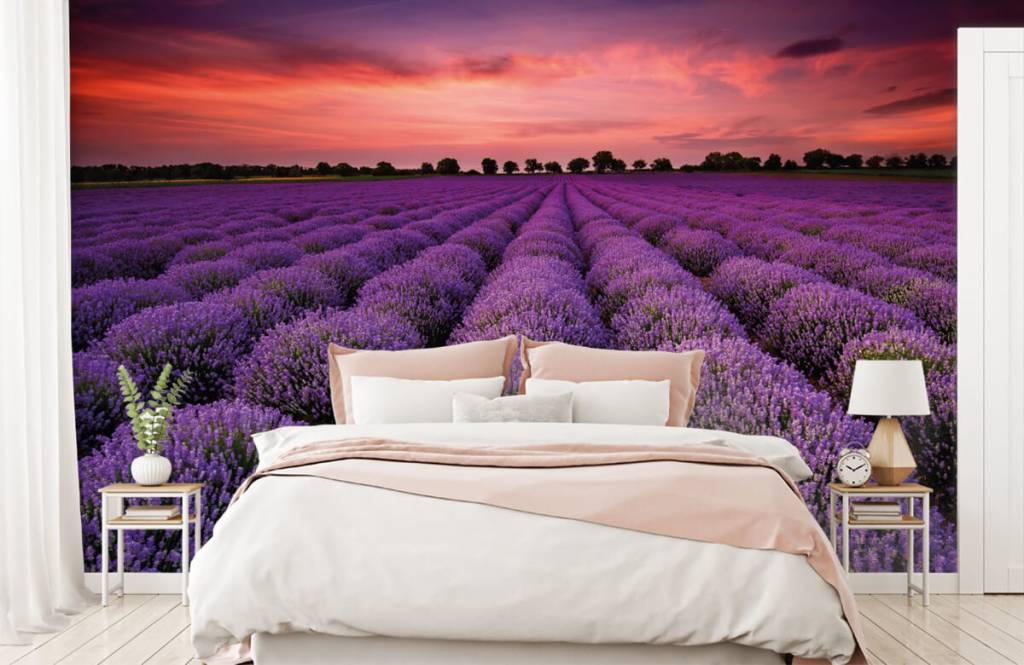 Bloemenvelden - Lavendel veld - Slaapkamer 1