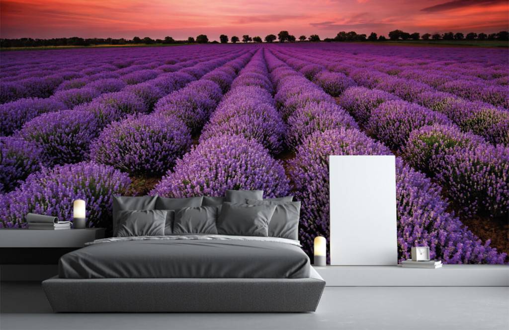 Bloemenvelden - Lavendel veld - Slaapkamer 2