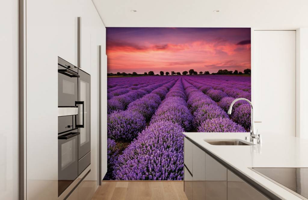 Bloemenvelden - Lavendel veld - Slaapkamer 3