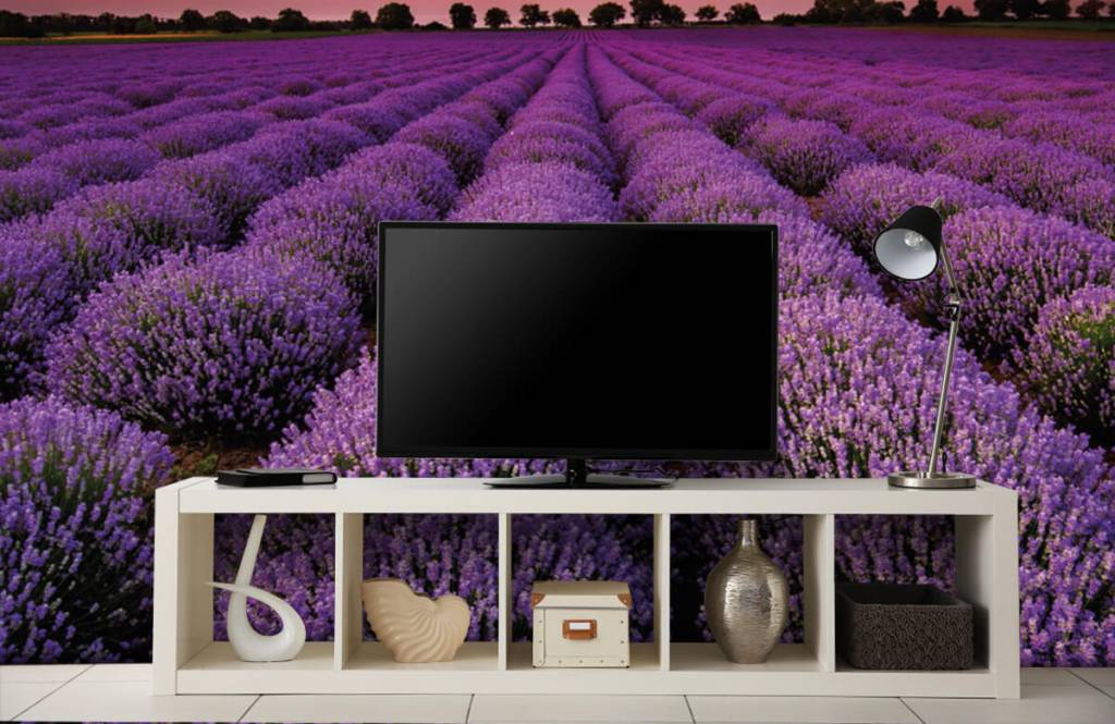 Bloemenvelden - Lavendel veld - Slaapkamer 4