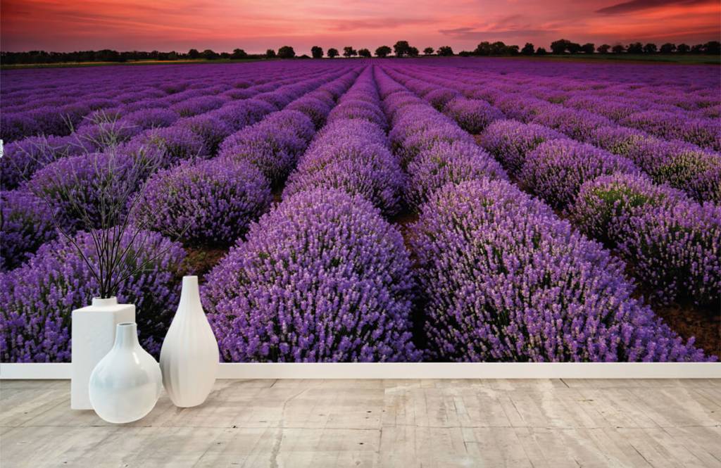 Bloemenvelden - Lavendel veld - Slaapkamer 8