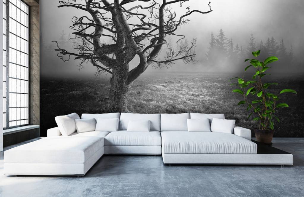 Zwart wit behang - Sierlijke boom - Slaapkamer 1