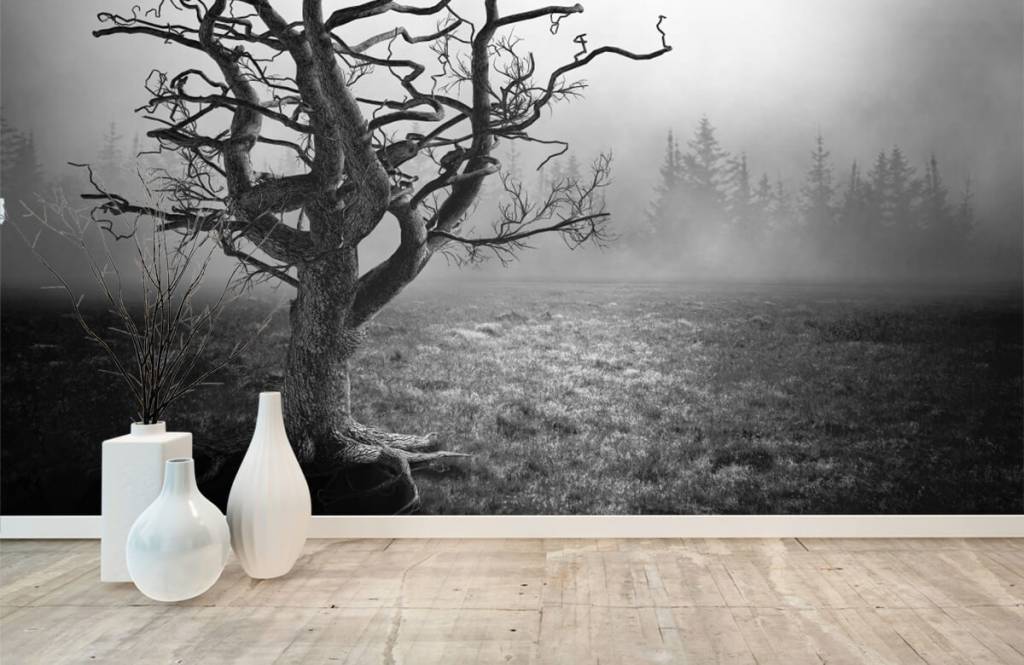 Zwart wit behang - Sierlijke boom - Slaapkamer 8