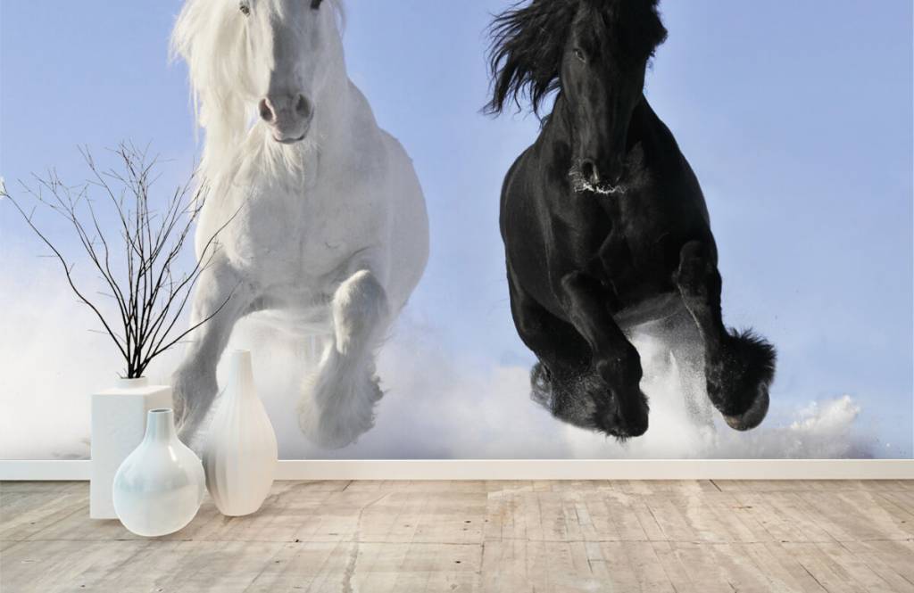 Paarden - Wit en een zwart paard - Tienerkamer 1