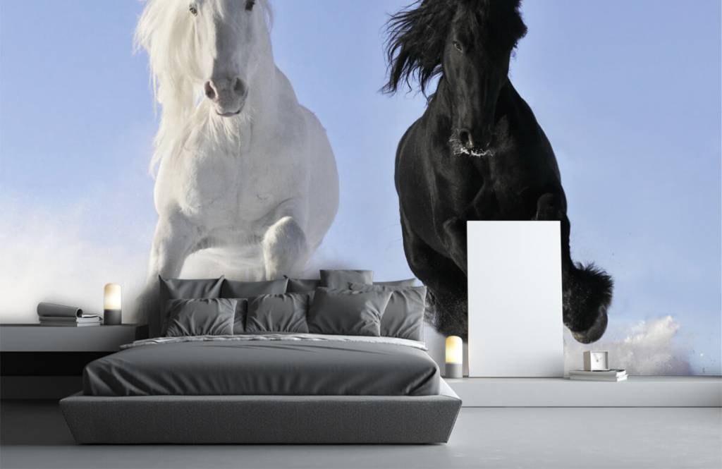 Paarden - Wit en een zwart paard - Tienerkamer 3
