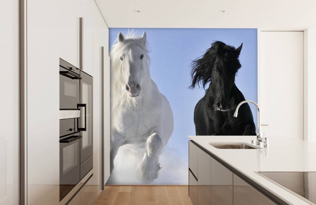 Paarden - Wit en een zwart paard - Tienerkamer 4
