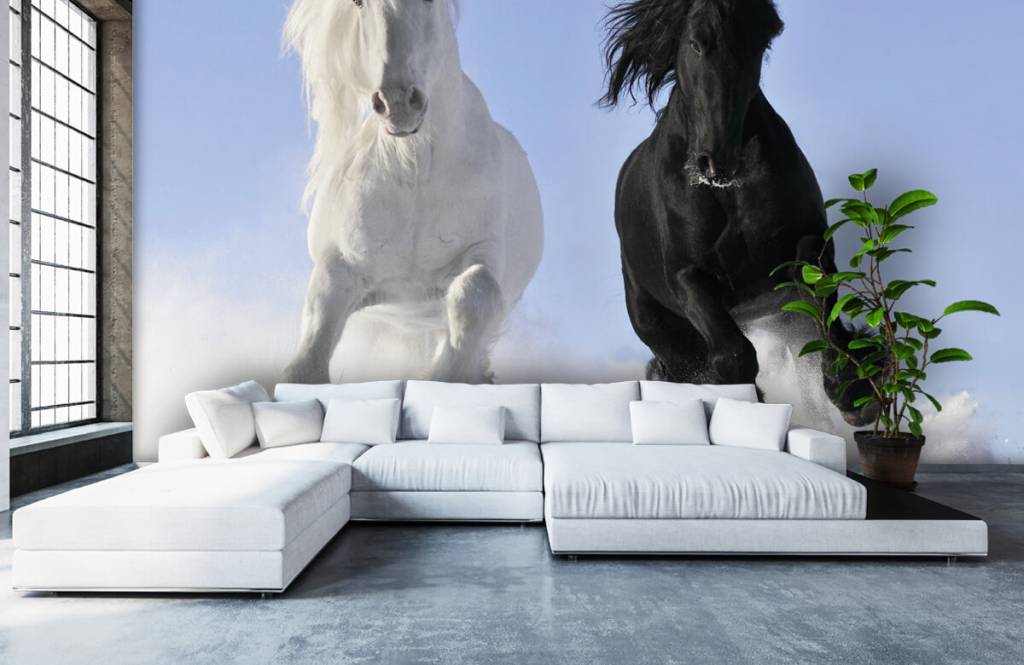 Paarden - Wit en een zwart paard - Tienerkamer 6