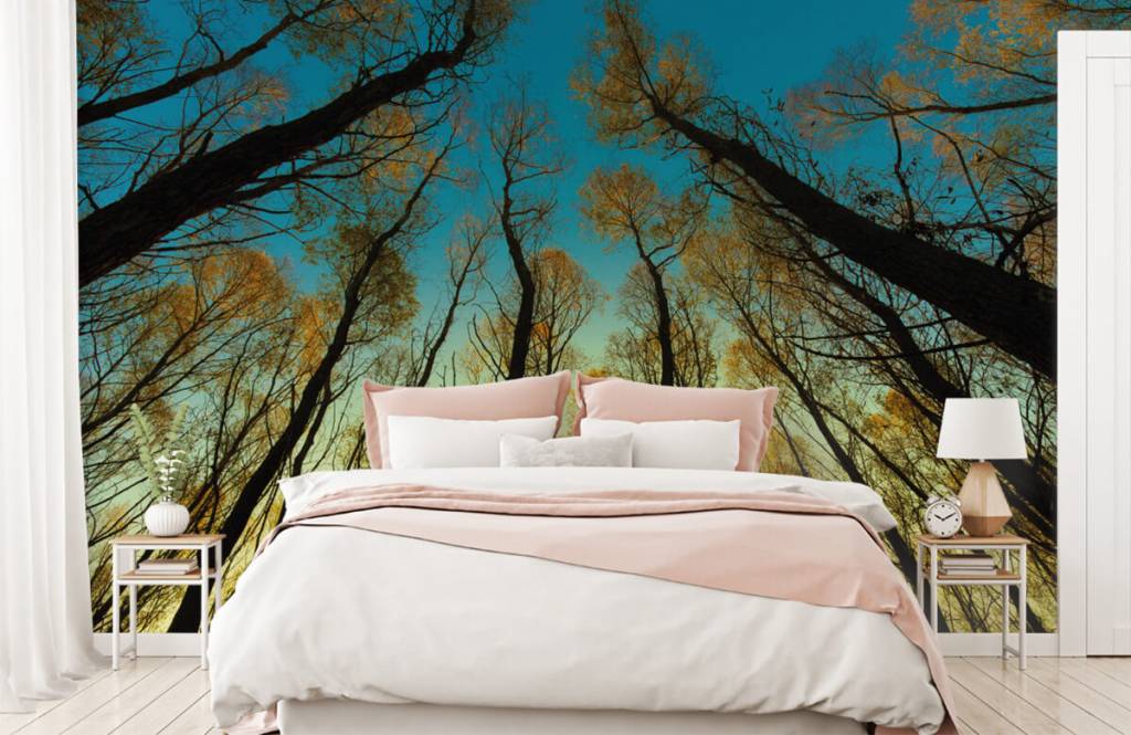 Bos behang - Zonsopkomst tussen hoge bomen - Slaapkamer 2