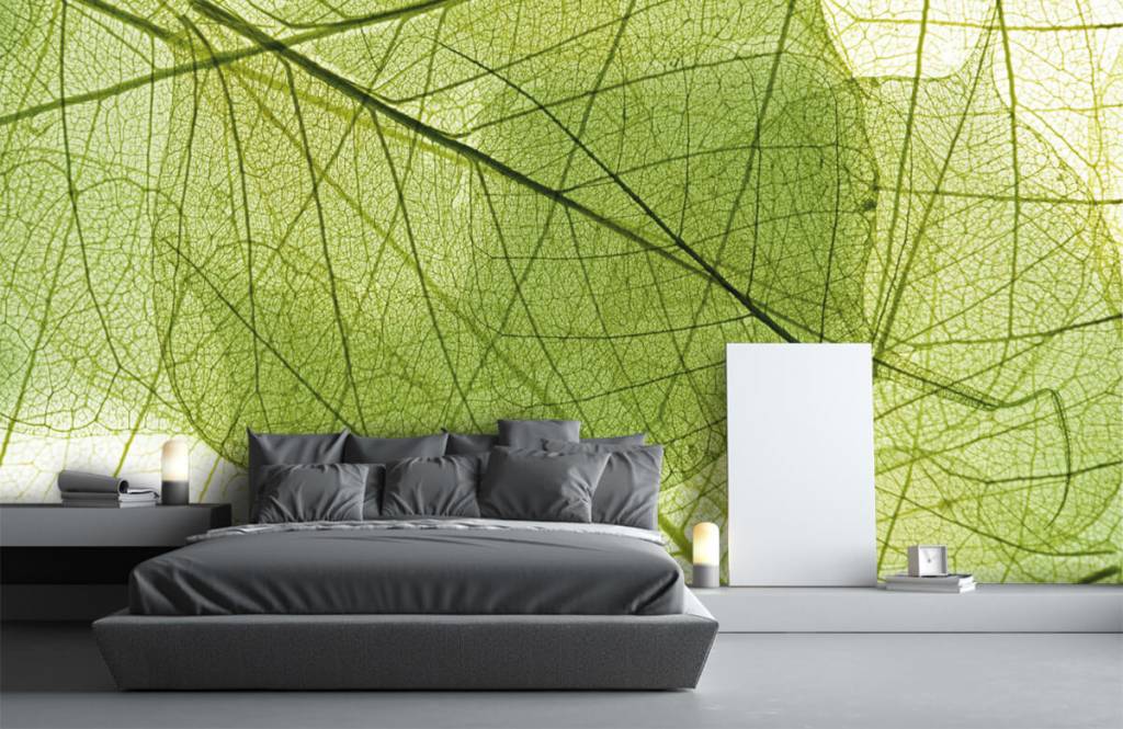 Bladeren - Behang met groene bladeren  - Slaapkamer 1