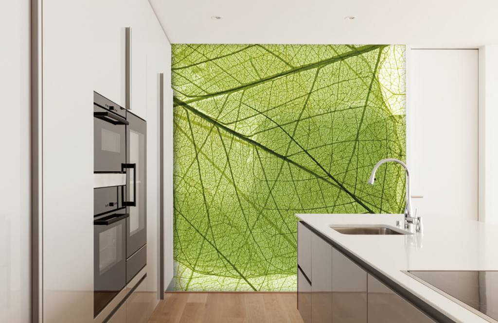 Bladeren - Behang met groene bladeren  - Slaapkamer 3