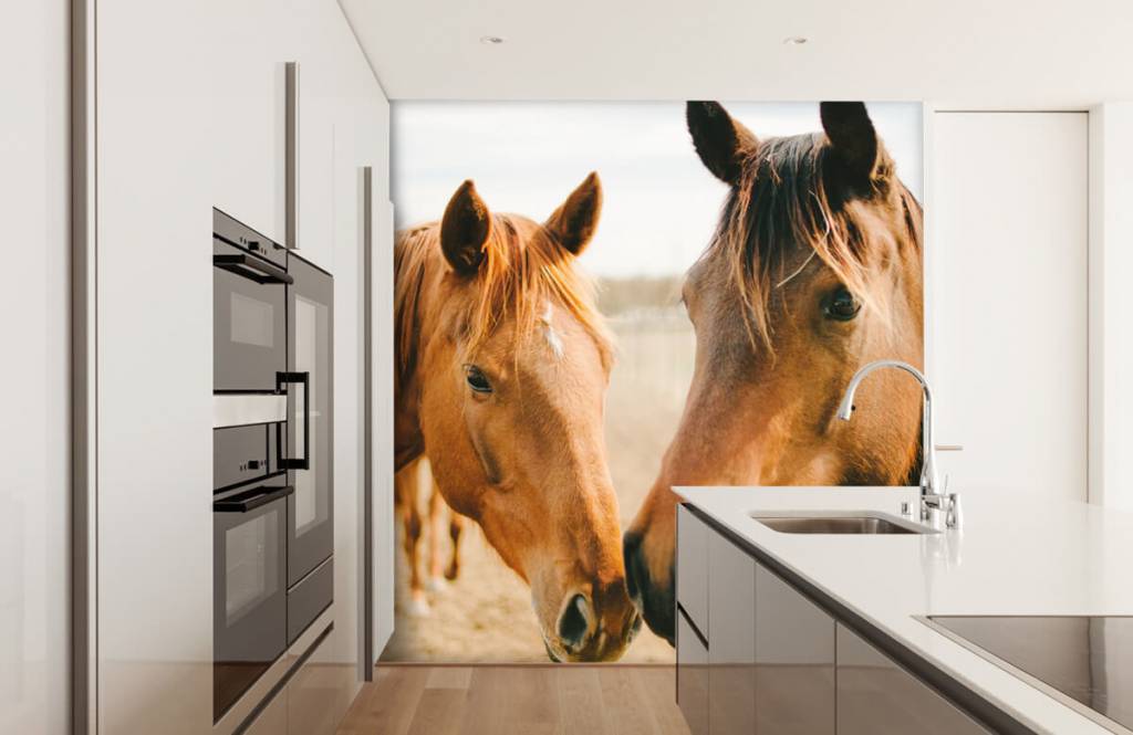 Paarden - Twee paarden - Kinderkamer 7