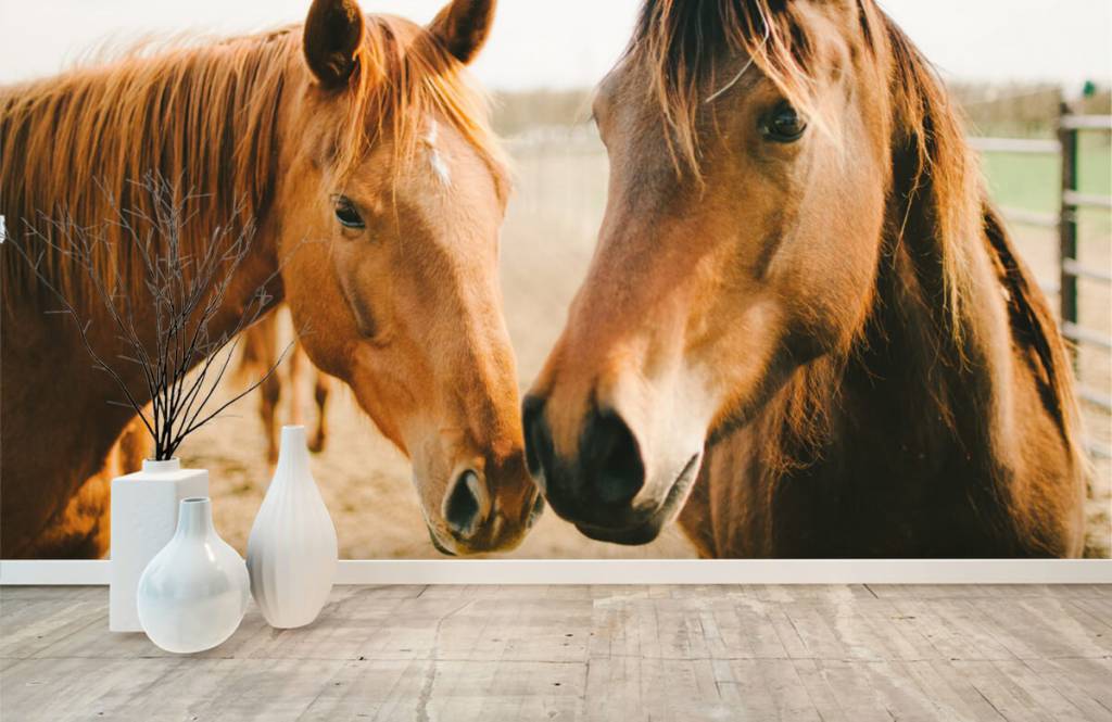 Paarden - Twee paarden - Kinderkamer 8
