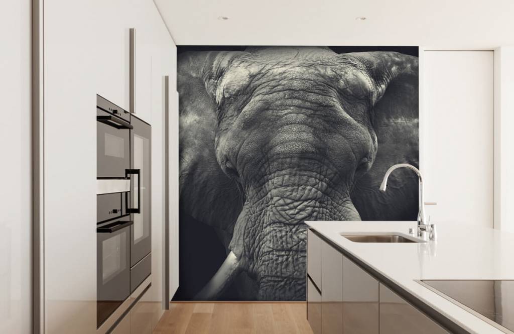 Olifanten - Close-up van een olifant - Slaapkamer 3