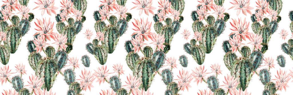 Cactussen met bloemen