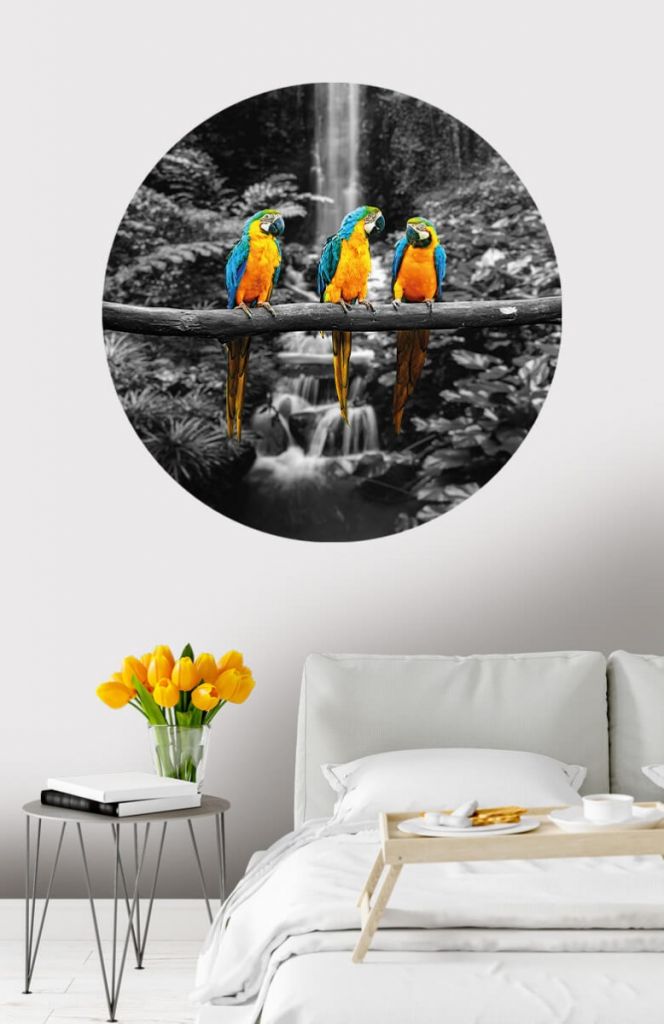 Behangcirkel papegaaien