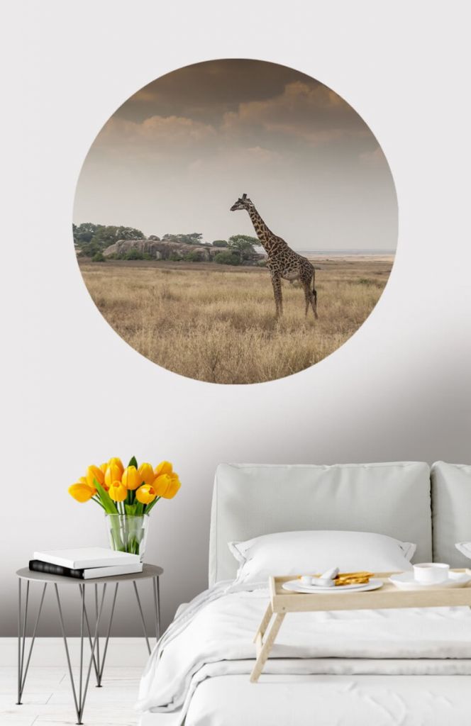 Behangcirkel giraffe op savanne