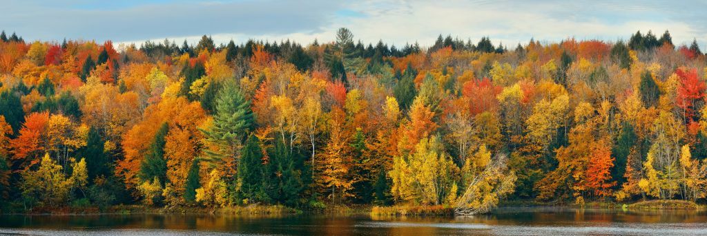 Meer met herfstbomen