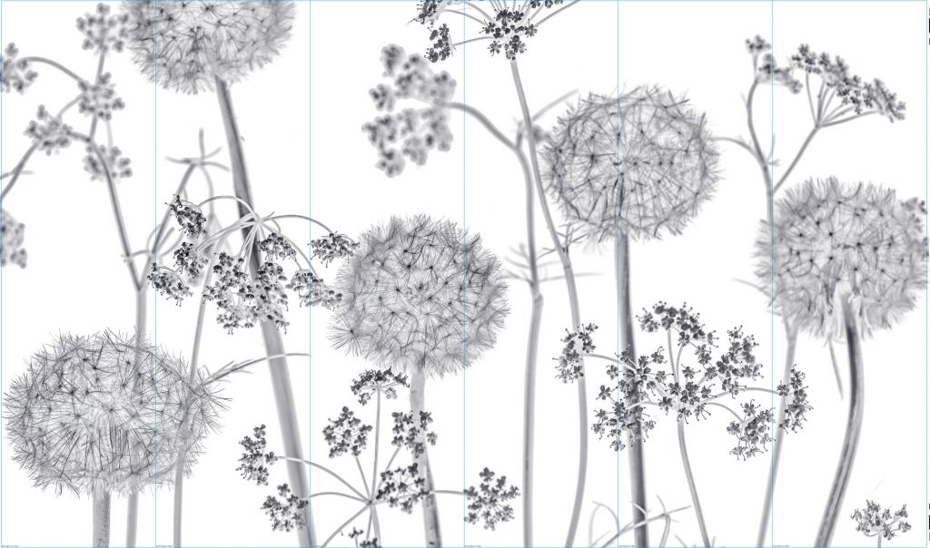 Meadow bloemen in zwart-wit - Outlet - 455 x 265 cm