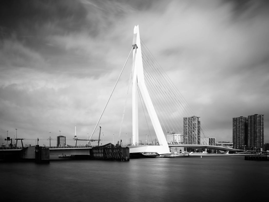 Erasmusbrug Rotterdam 