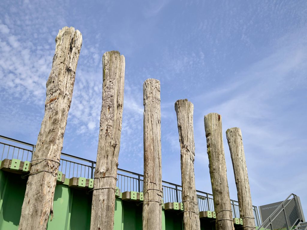 Houten palen 