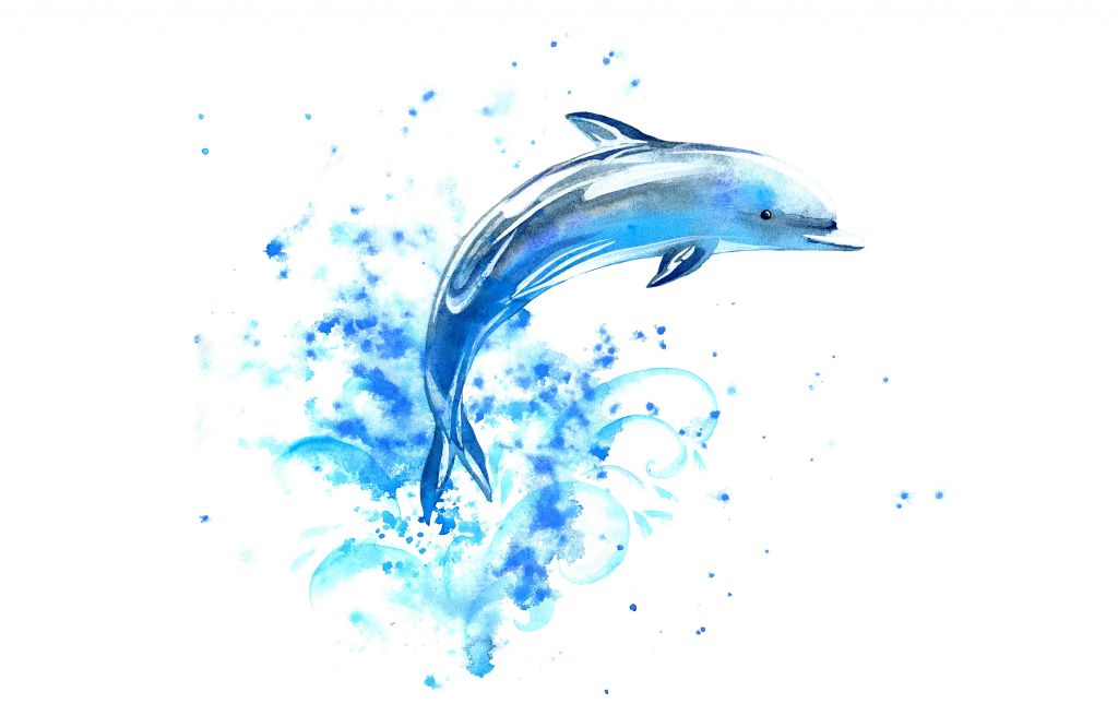 Springende dolfijn