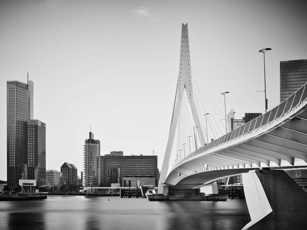 De Erasmusbrug