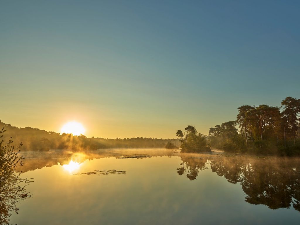 Zonsopkomst bij bosmeer